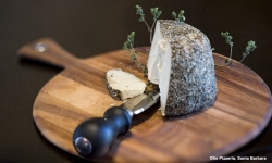 Ricotta alla Cenere