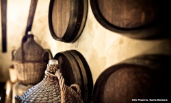 kevsteele_100831_op-wine-barrels_d3_4419